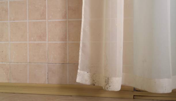 Best Dehumidification Services  in Ord, NE