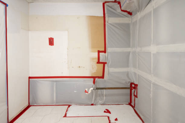 Environmental Consulting for Mold Prevention in Ord, NE