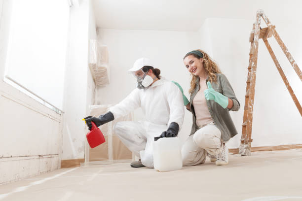 Best Mold Damage Restoration  in Ord, NE